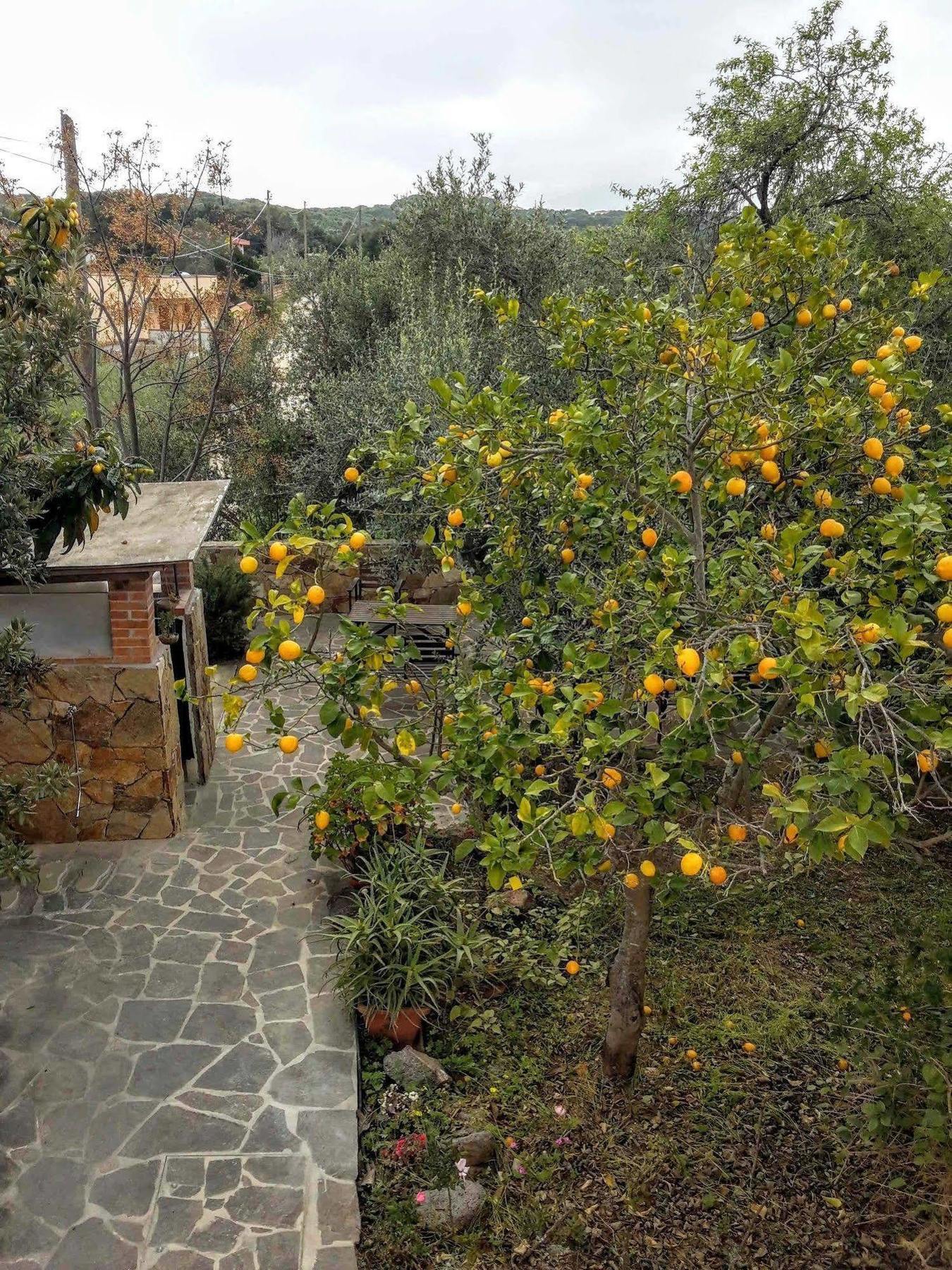 Villa Arancio Giorgio Cala Liberotto Exterior foto